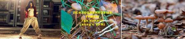 бутик Горно-Алтайск