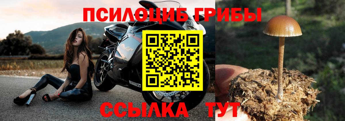 Муром  Псилоцибиновые грибы мухоморы  Псилоцибиновые грибы MAGIC MUSHROOMS  Вход с VPN 